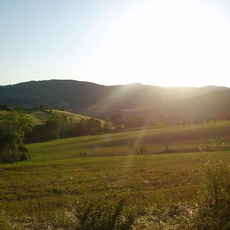 Belvilla By Oyo Il Camino Montespertoli Dış mekan fotoğraf