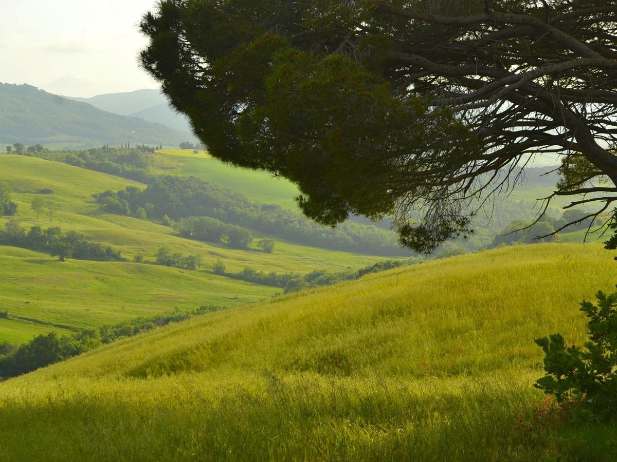 Belvilla By Oyo Il Camino Montespertoli Dış mekan fotoğraf