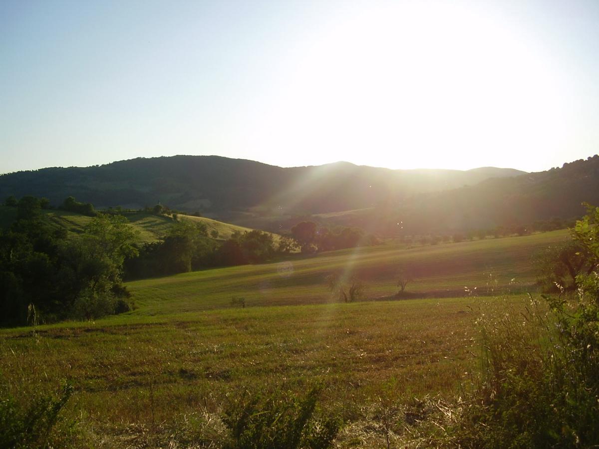 Belvilla By Oyo Il Camino Montespertoli Dış mekan fotoğraf